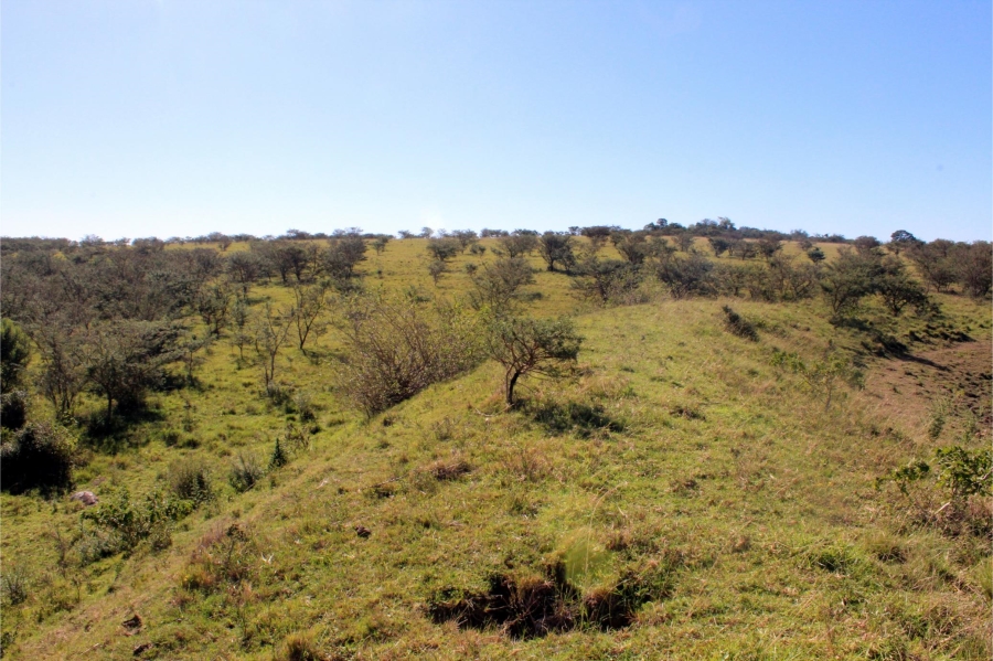 5 Bedroom Property for Sale in Mooiplaas Eastern Cape